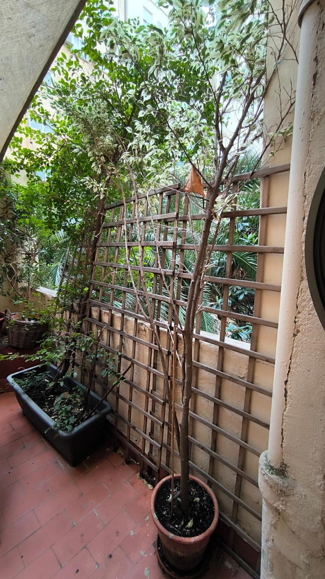 Bed & Breakfast 7 Moons Valencia