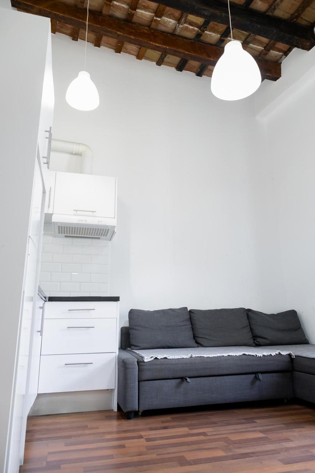 Apartment Up Town *