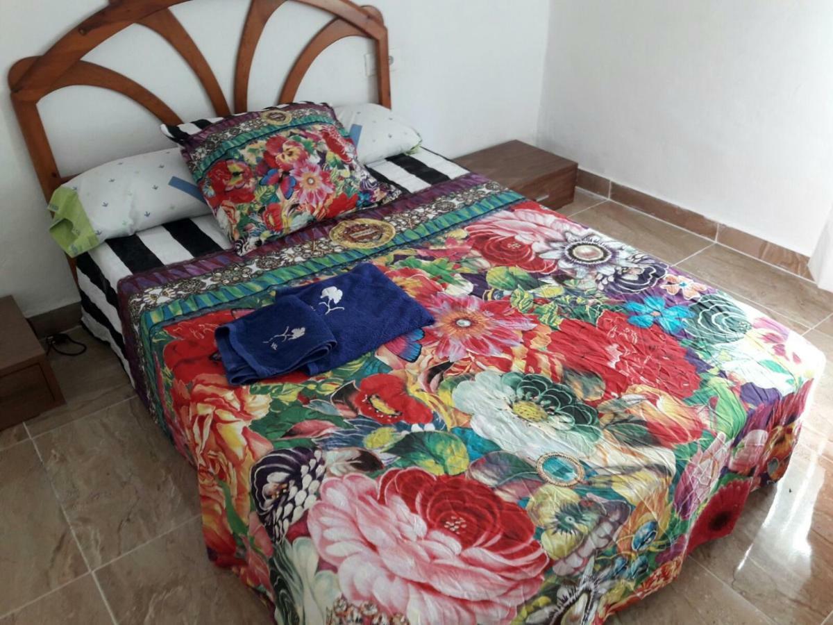 Apartment Sofia Valencia