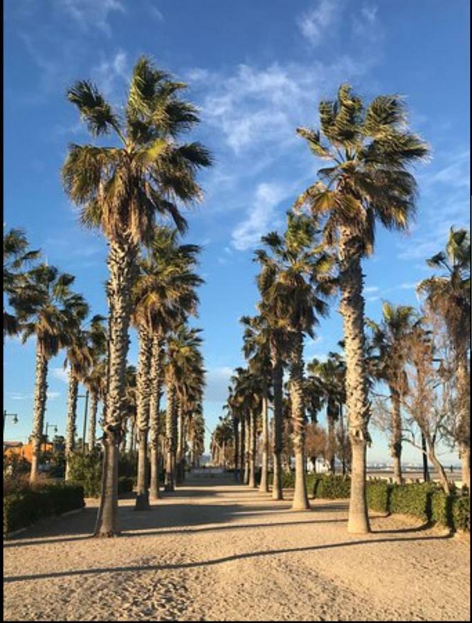 Mar Y Sol Valencia