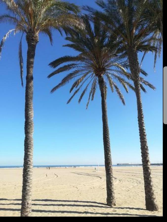Mar Y Sol *