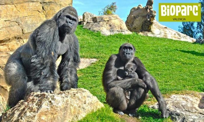 Apartamento Bioparc Metro Valência