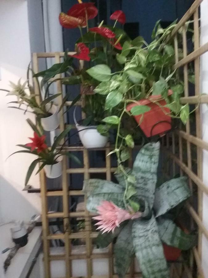 New Trendy Appartement *