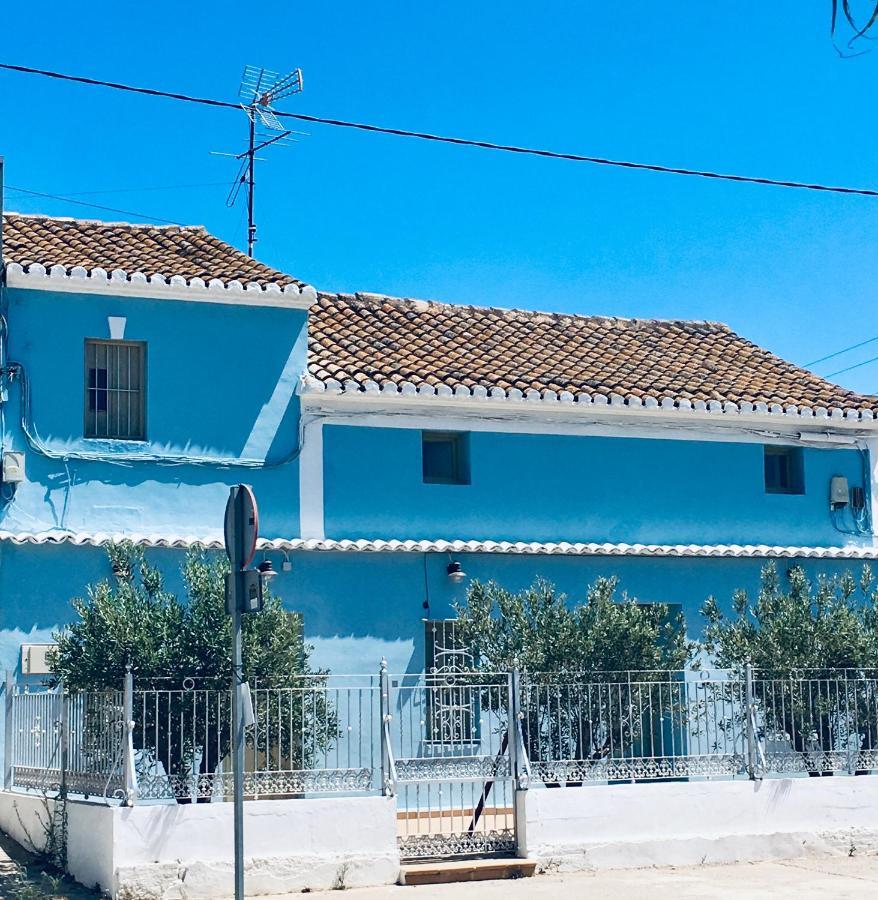 Dad La Punta